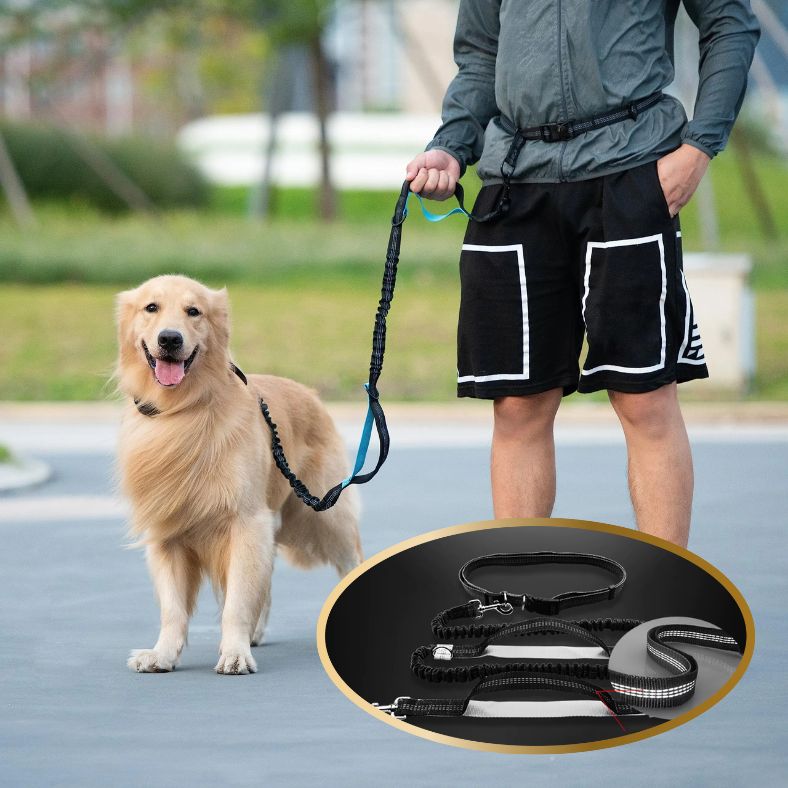 Balade mains libres avec laisse pour chien main libre