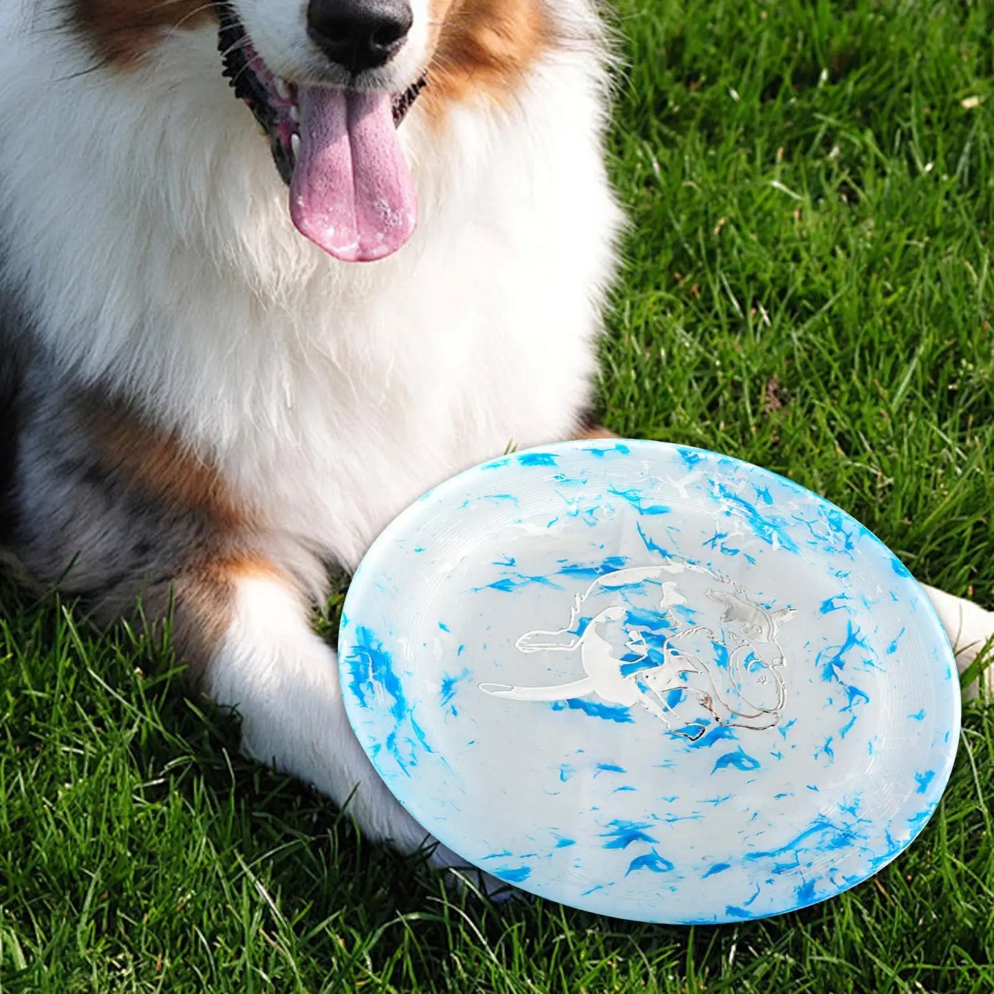 Chien couchĂ© dans lâherbe, langue sortie et frisbee chien entre les pattes