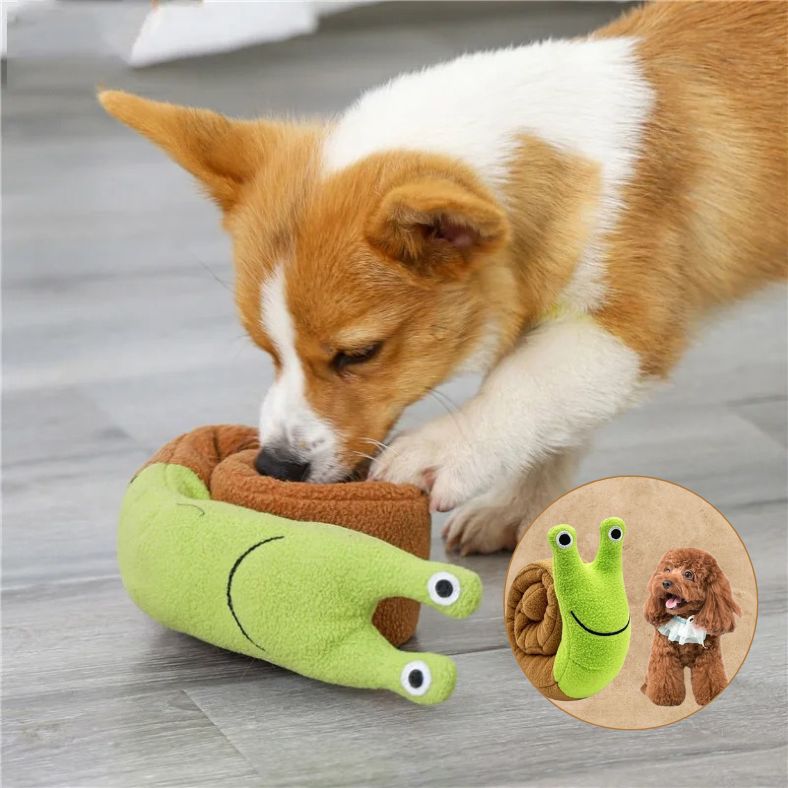 Chien en pleine activité avec sa peluche pour chien éducative