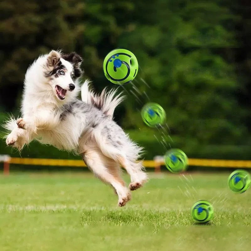 Chien qui saute pour attraper une balle pour chien rebondissante