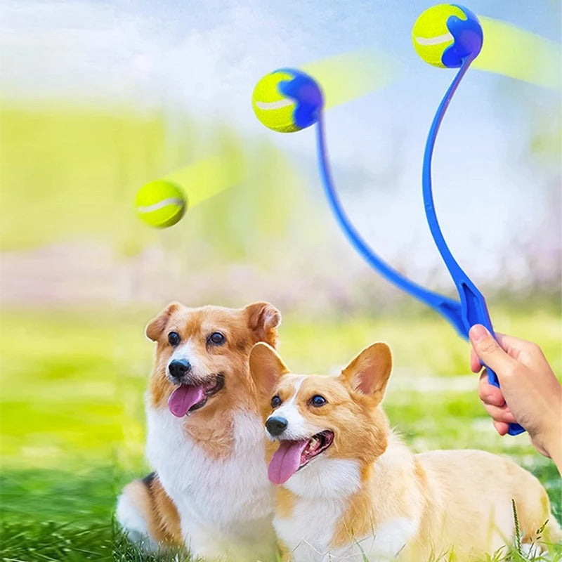 Deux corgis jouant avec leur maitresse au lanceur de balle pour chien