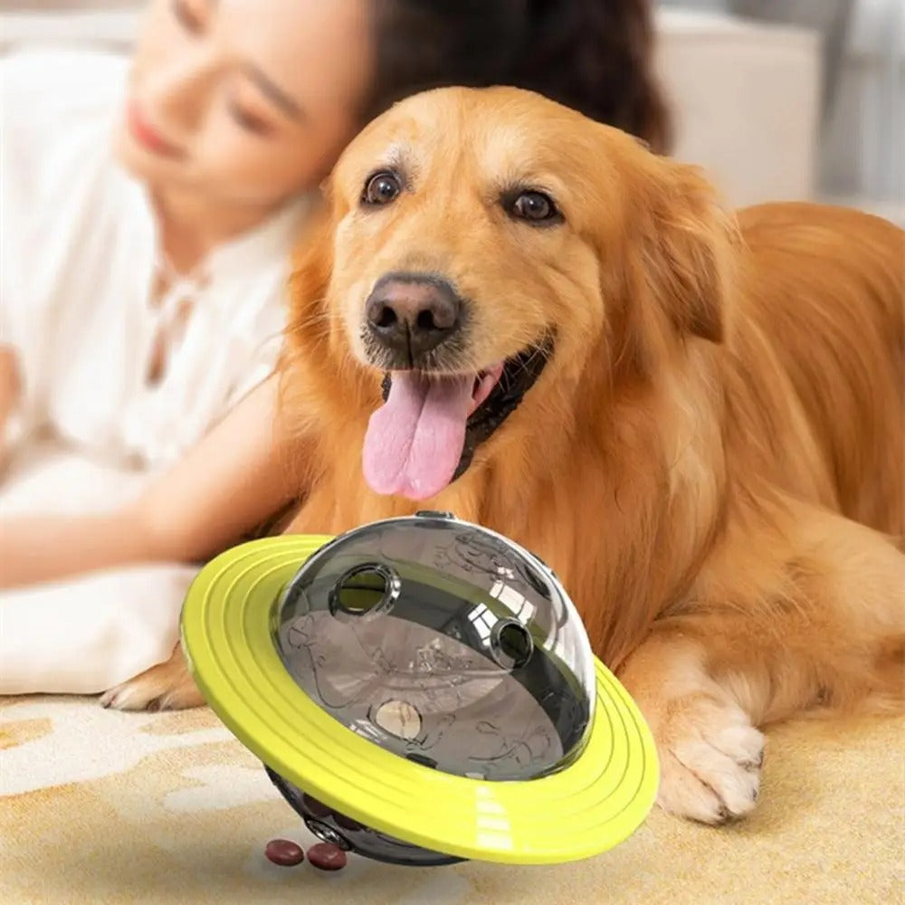 Golden retriever rassasié couché à côté du distributeur de croquettes chien