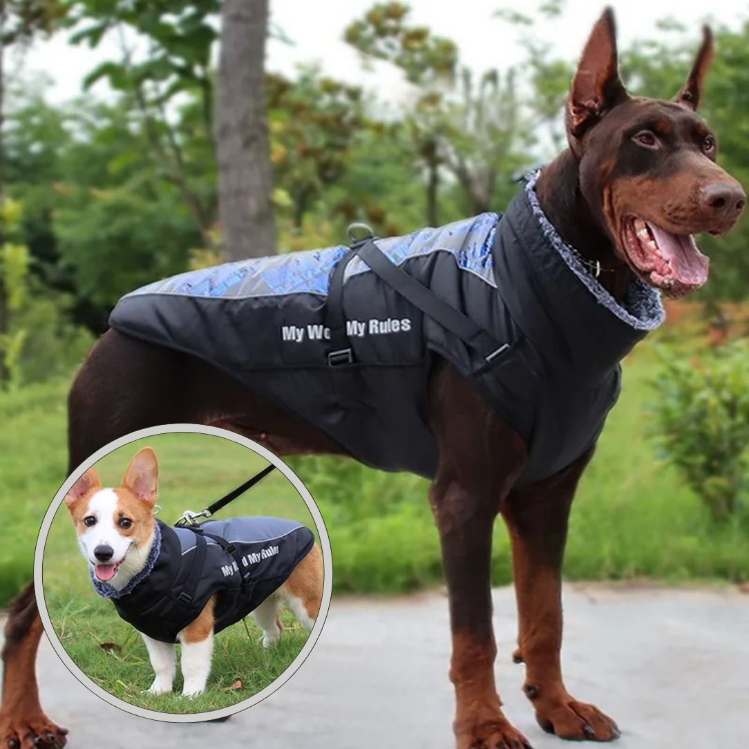 Habillage facile en moins dâune minute avec manteau chien tout en un