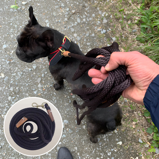 Laisse pour chien avec poignée ergonomique antiglisse