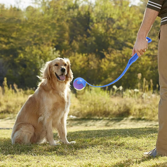 Lancer puissant et facile avec un lanceur de balle pour chien ergonomique