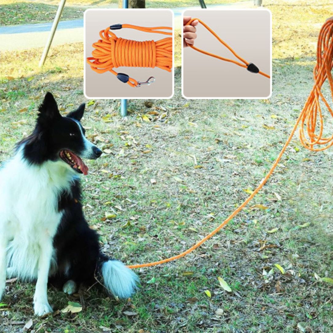 Longe-chien-avec-clip-caoutchouc-pour-prise-en-main-confortable