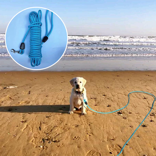 Longe-chien-de-15-mètres-idéale-pour-grandes-explorations