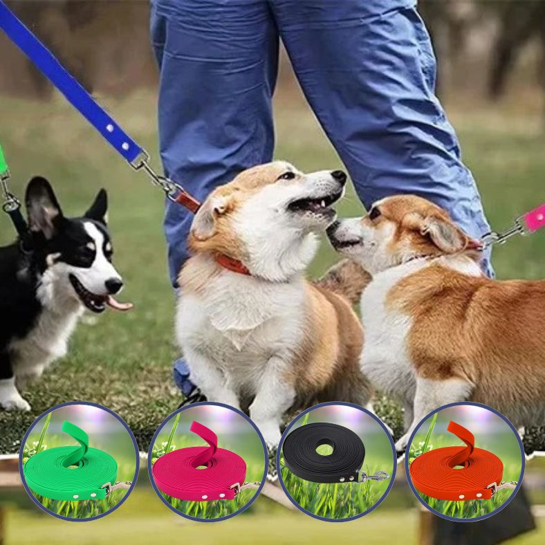 Longe pour chien disponible en couleurs vives et élégantes