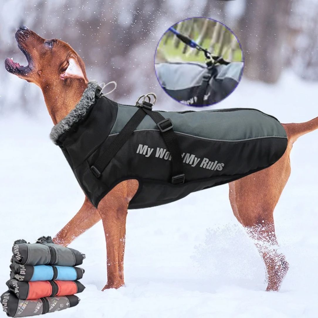 Manteau chien avec harnais intégré et bandes réfléchissantes pour promenade nocturne