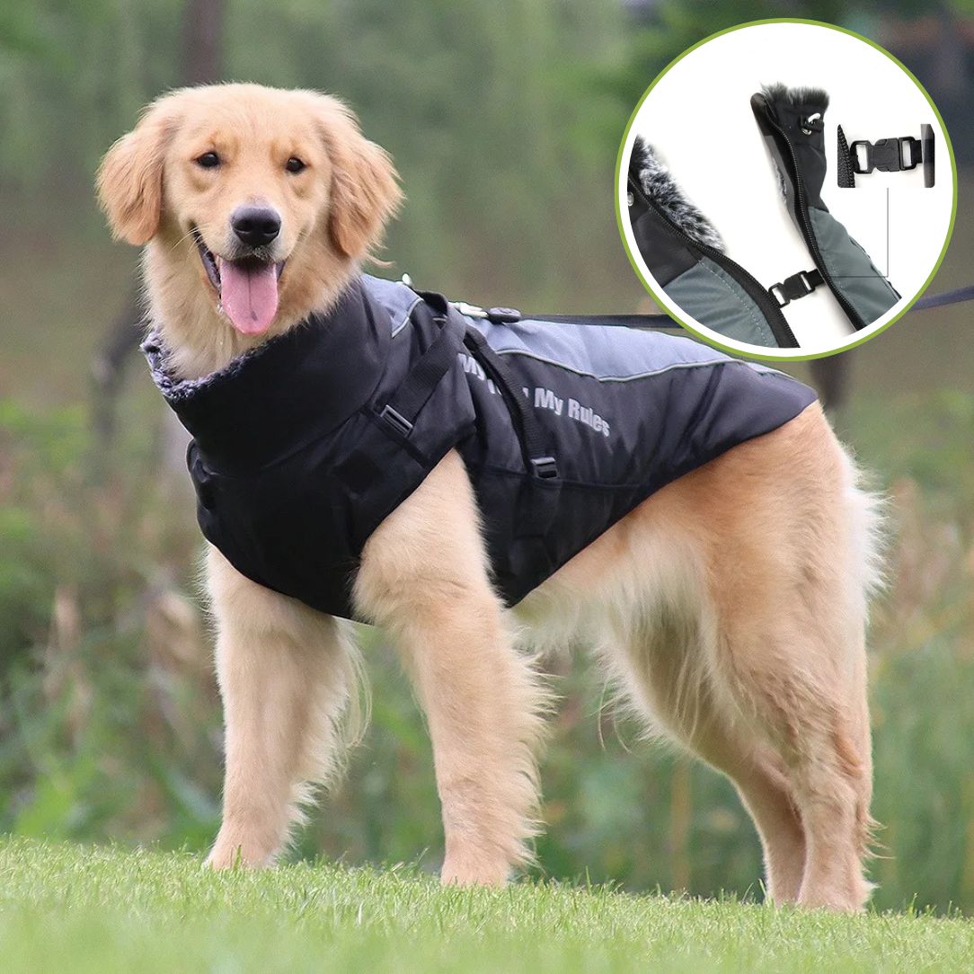 Manteau chien confortable avec fermeture éclair et col en fourrure ajustable