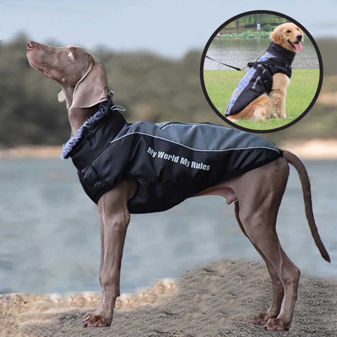 Manteau chien taille grande idéal pour balade sous la pluie ou la neige