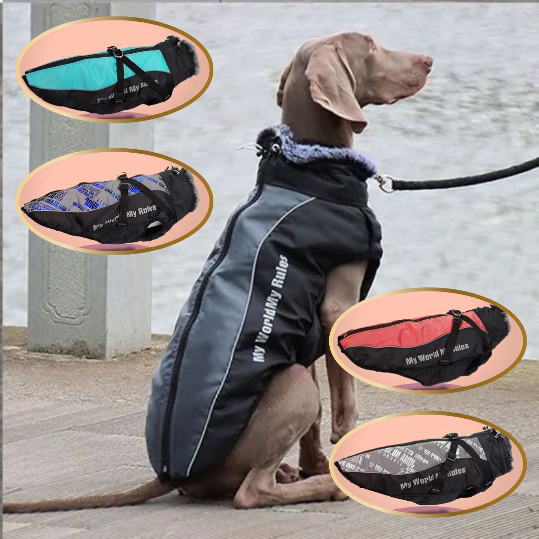 Manteau chien technique en nylon oxford pour protection 4 saisons