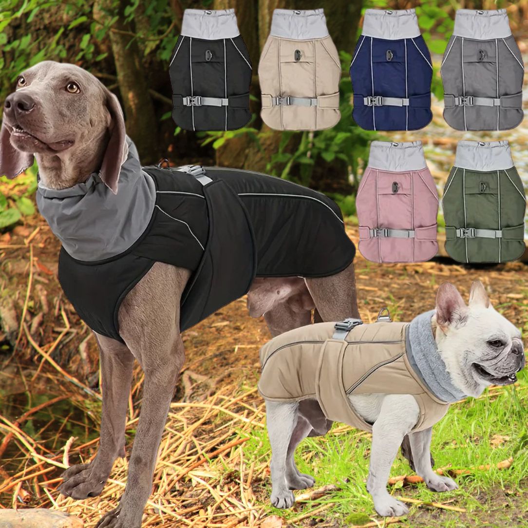 Manteau pour chien ajustable et confortable pour toutes les tailles