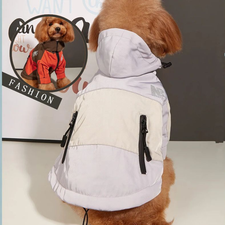 Manteau pour chien avec capuche rétractable pour protection contre la pluie