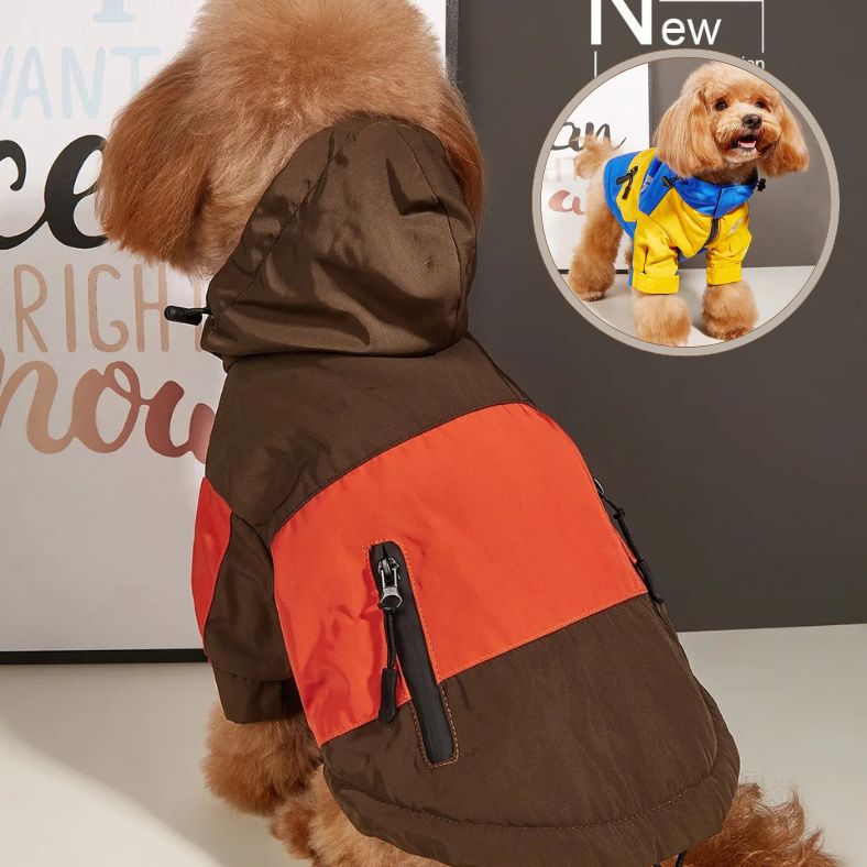 Manteau pour chien chaud et confortable pour l’hiver
