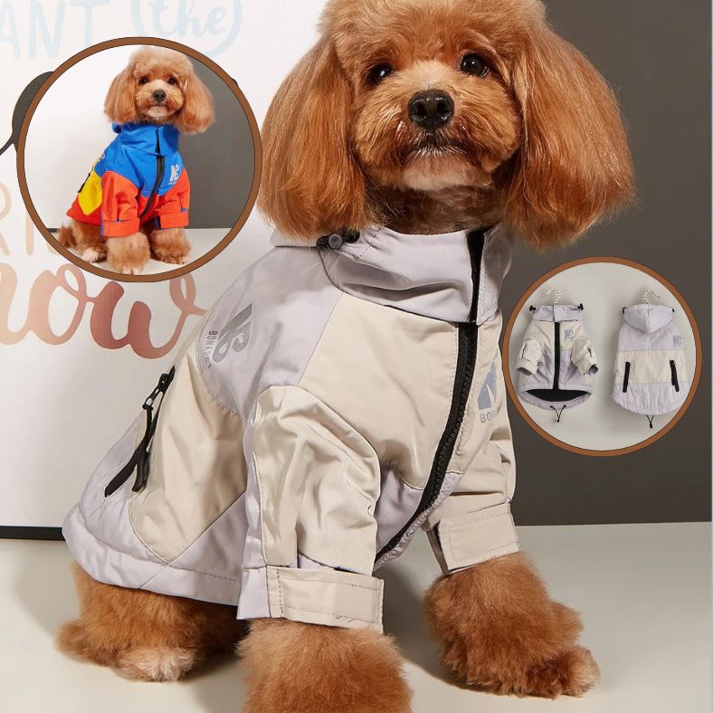 Manteau pour chien gris mis en valeur en position assise