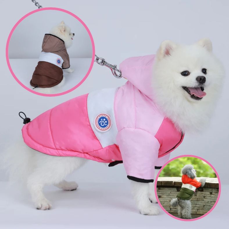 Petit chien en manteau chien hiver chaud et imperméable pour promenade