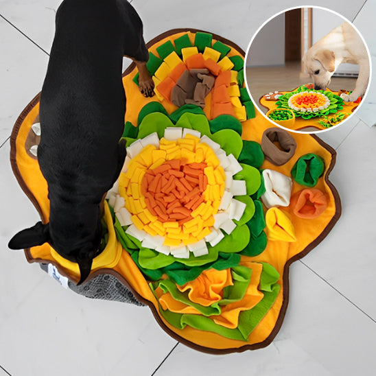 Tapis de fouille chien rempli de croquettes pour ralentir lâalimentation