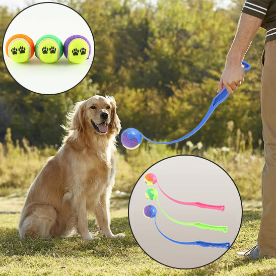 Trois lanceurs de balle pour chien en rose, vert et bleu avec balles colorées assorties