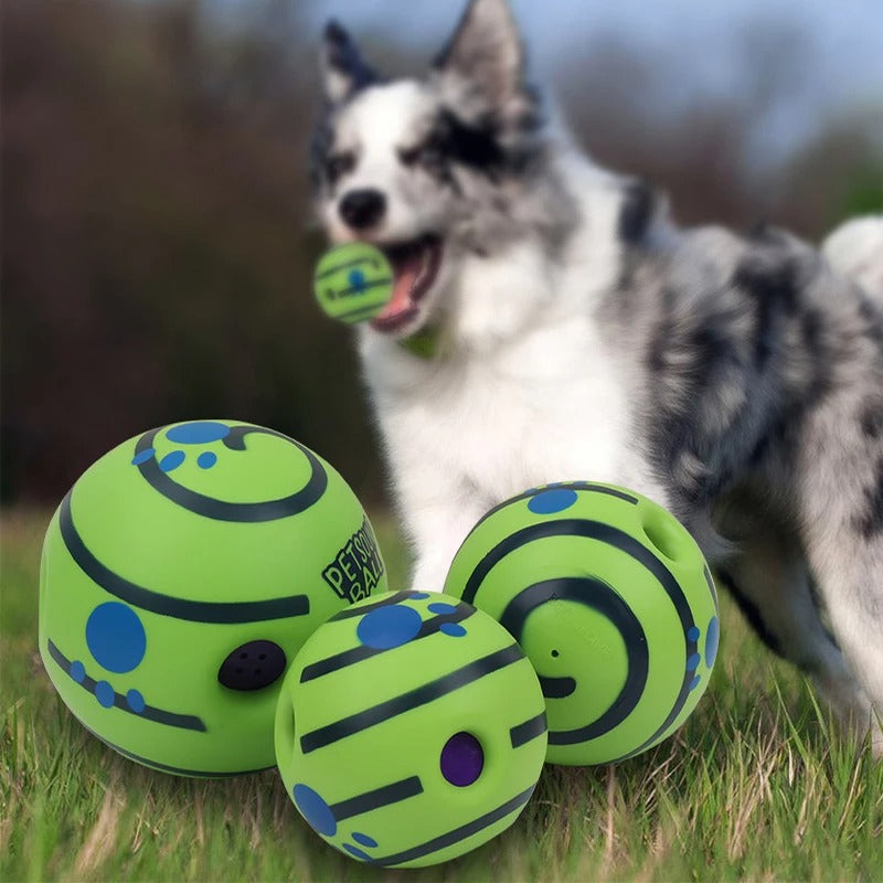 Trois tailles de balles pour chien avec un chien en arriĂšre-plan, balle en gueule