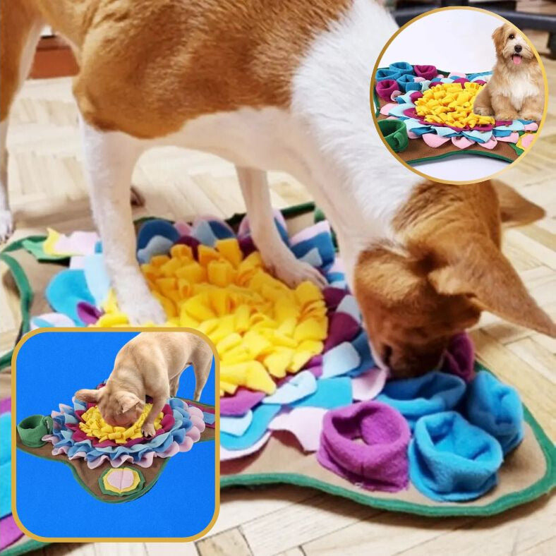 Truffe du chien plongée dans le tapis de fouille chien