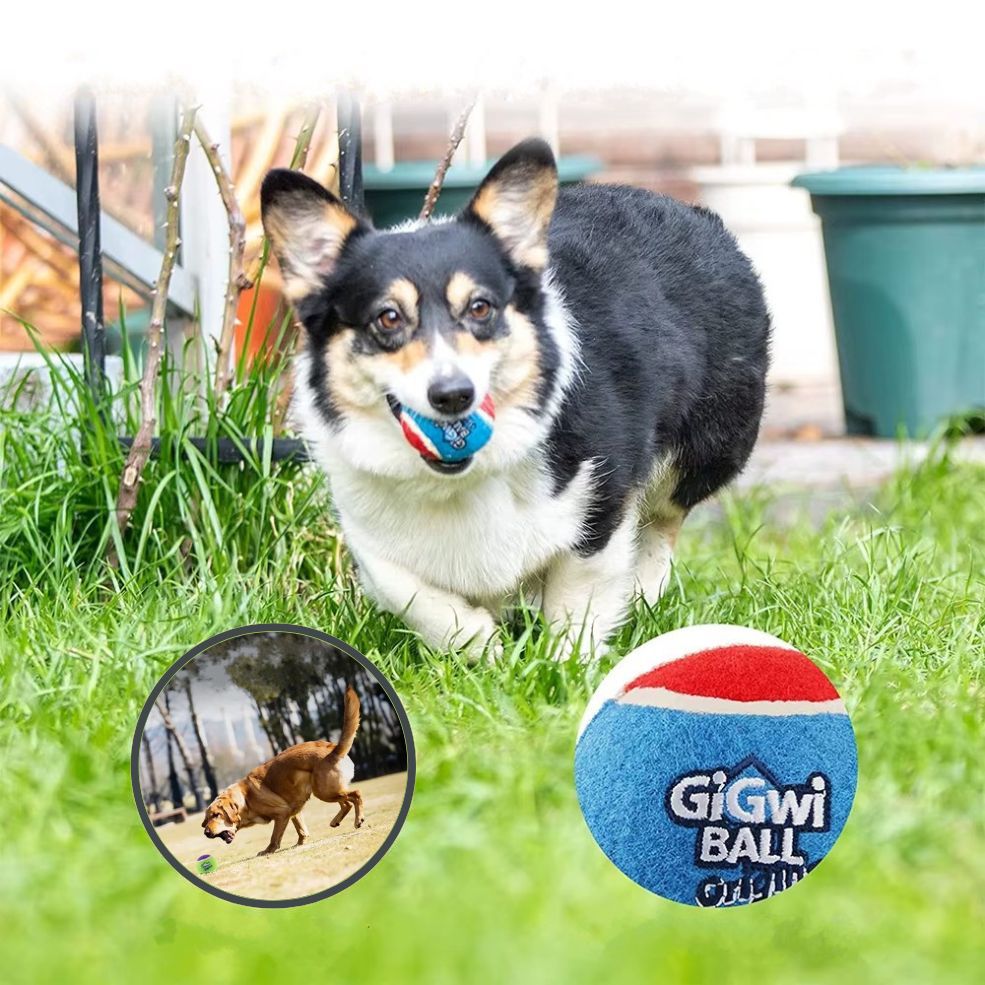 Balle pour chien qui favorise un poids santé