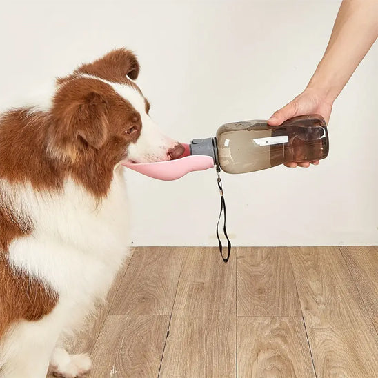 Chien assis buvant dans gourde pour chien 800ml tenue par maĂźtre