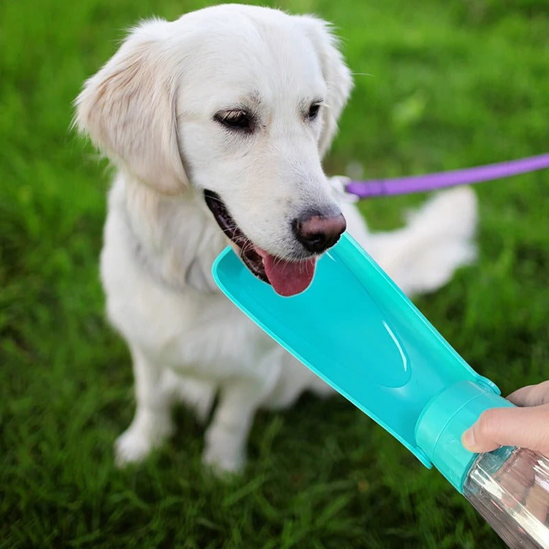 Chien assis dans l’herbe buvant dans une gourde pour chien portable