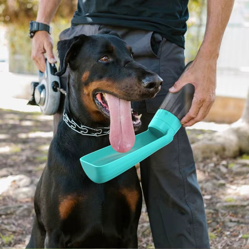 Chien assis hydraté avec gourde pour chien tenue par maître