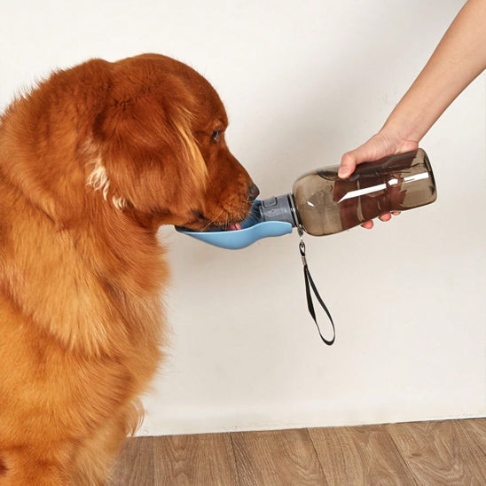 Chien assis hydraté avec gourde pour chien tenue par maßtre