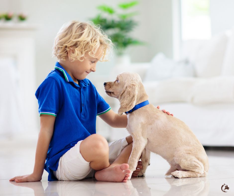 chien assis regardant un enfant complicite et confiance dans un interieur lumineux