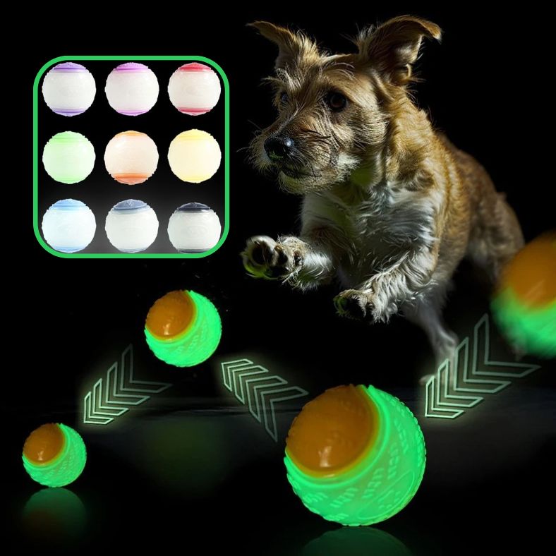 Chien sautant pour attraper une balle pour chien phosphorescente et rebondissante