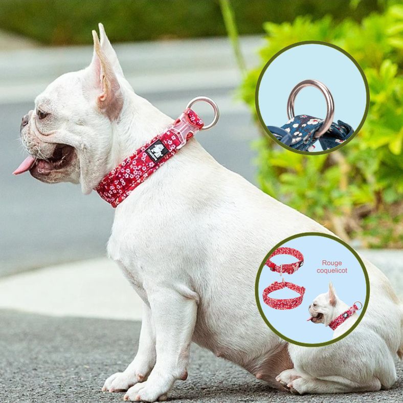 Collier chien rouge éclatant pour ne pas passer inaperçu