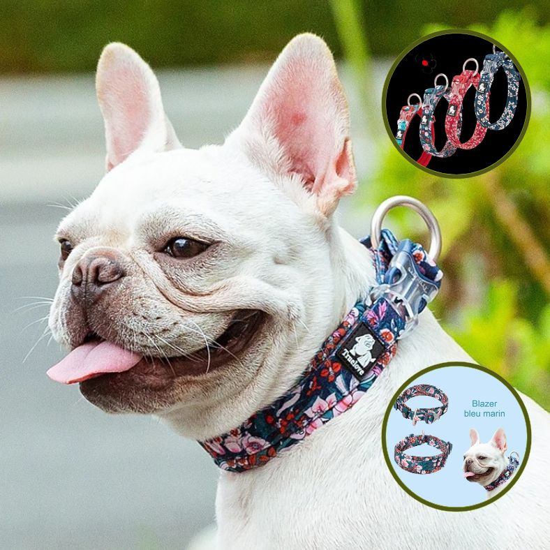 Collier pour chien en coton doux et confortable