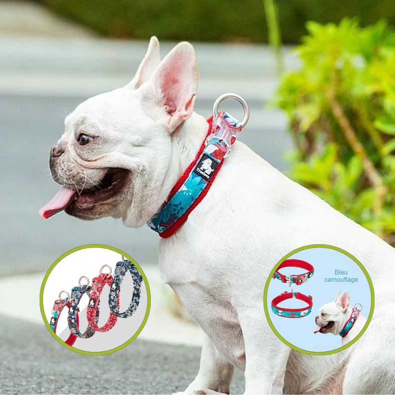 Collier pour chien look sportif et dynamique