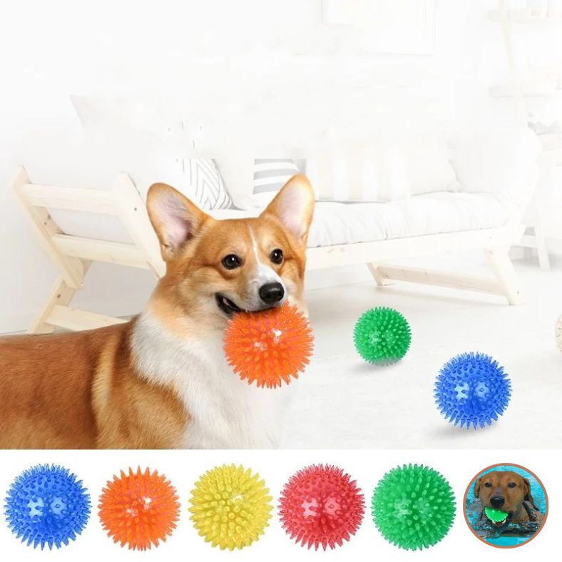 Corgi avec balle pour chien orange, toutes les couleurs disponibles visibles