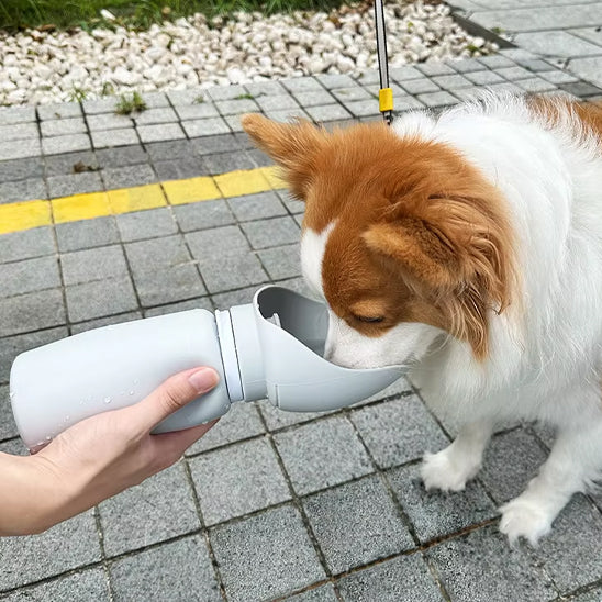 Corgi buvant de l'eau avec la gourde pour chien après une balade