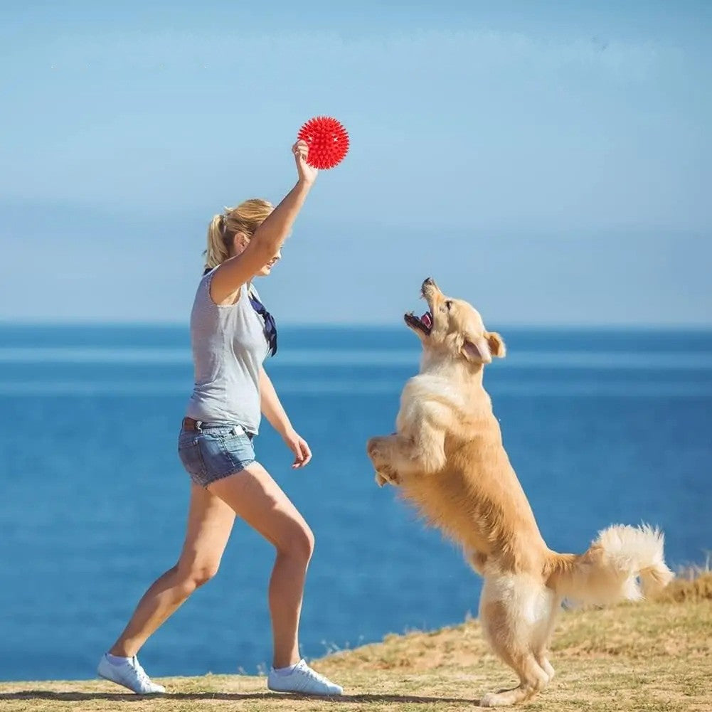 Golden retriever bondit pour attraper sa balle pour chien rouge