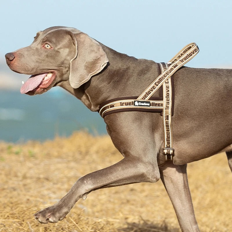 Harnais anti traction pour chien en brun solide et confortable