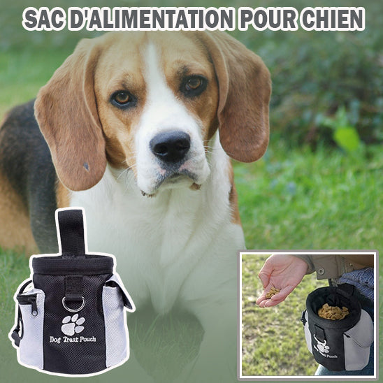 Interaction positive entre chien et maître avec pochette friandise chien