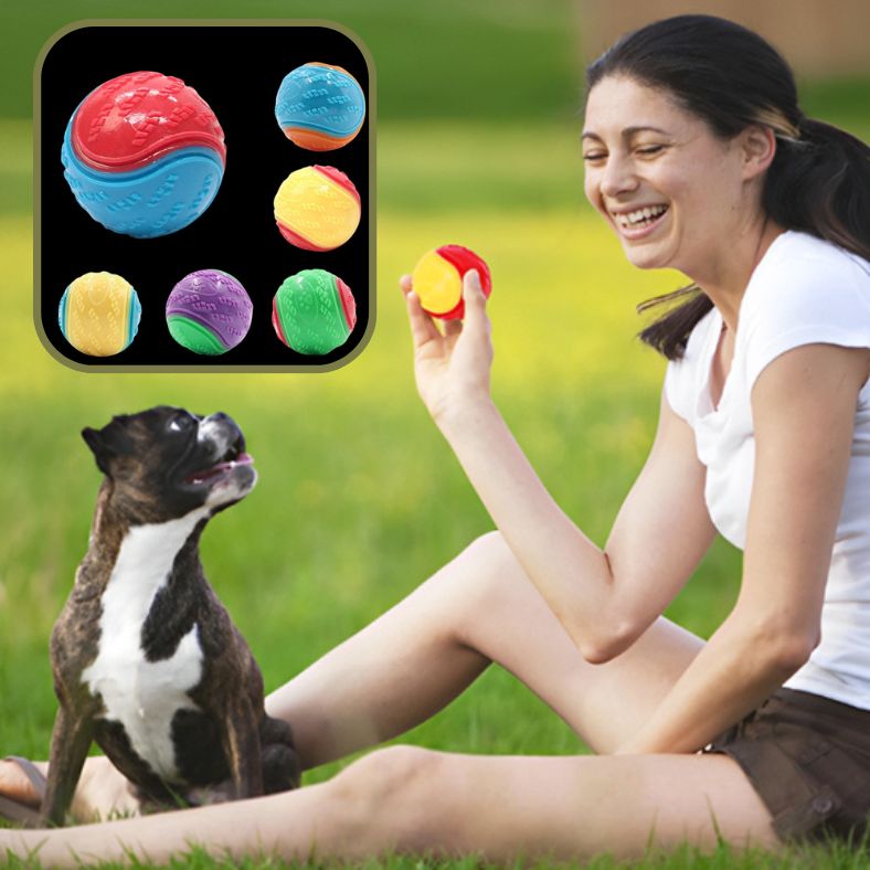 Jeune fille tenant une balle pour chien sous le regard attentif de son compagnon