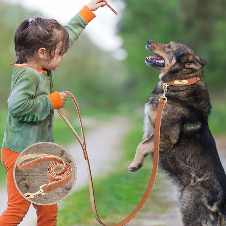 Laisse chien | NobleTail ™ - Annie - Mo
