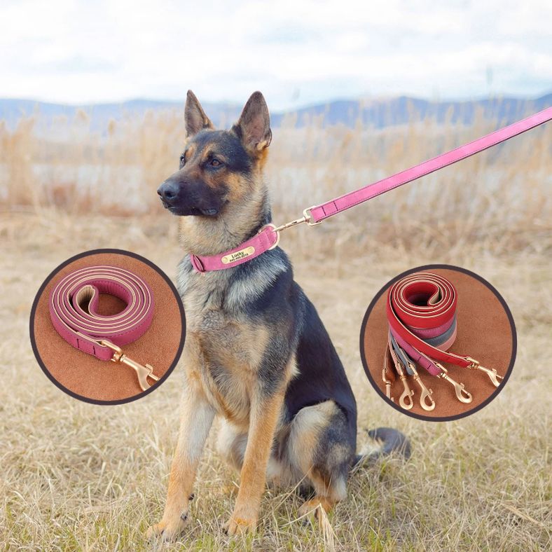 Laisse chien | NobleTail ™ - Annie - Mo
