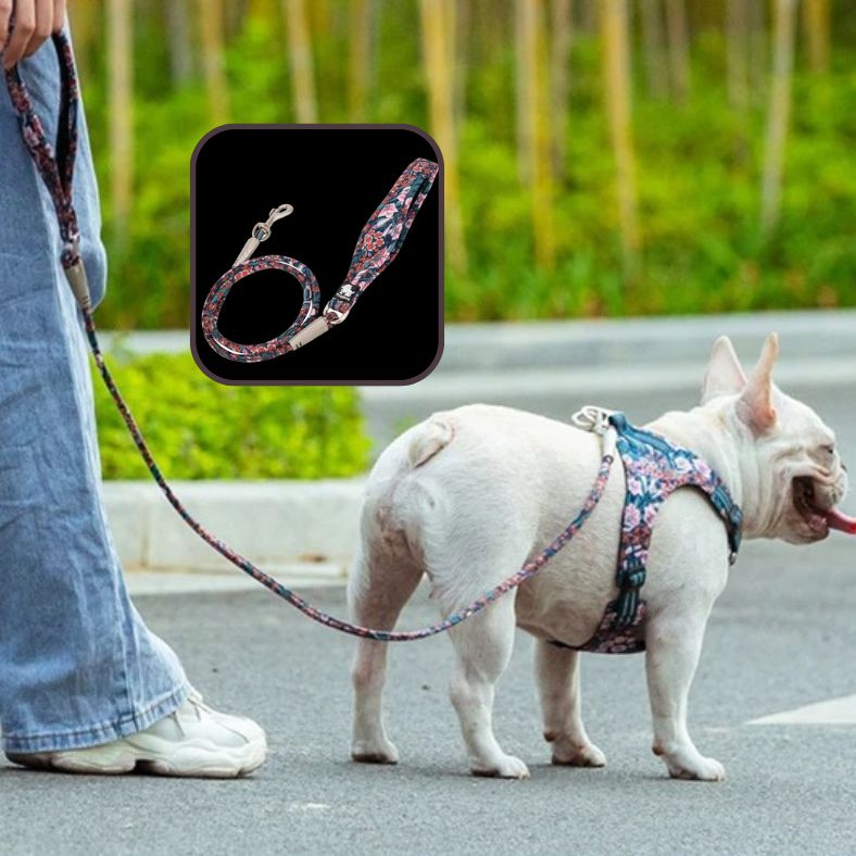 Laisse pour chien résistante et confortable pour la main