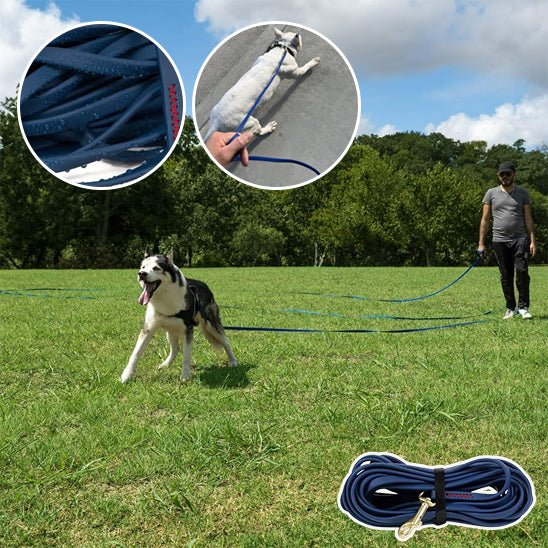 Longe pour chien | TrackTailâą - Annie - Mo