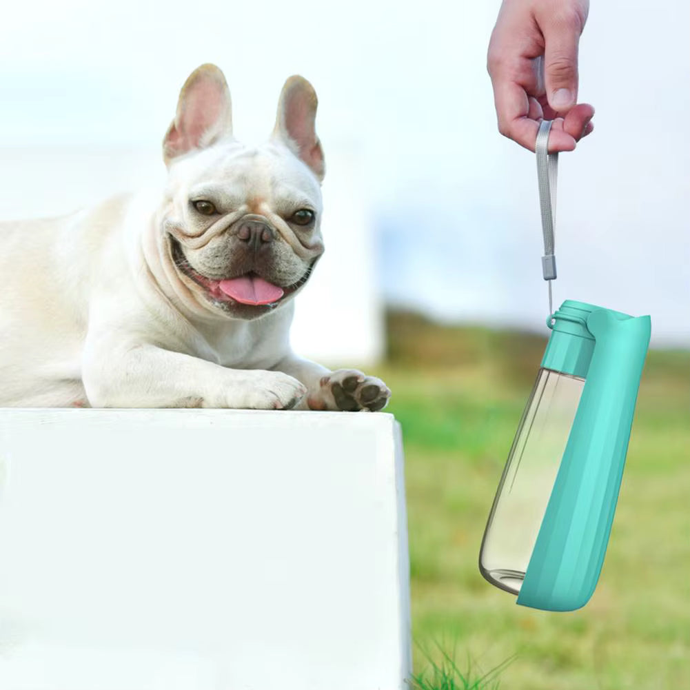 Main tenant une gourde pour chien en s’approchant d’un chien au loin
