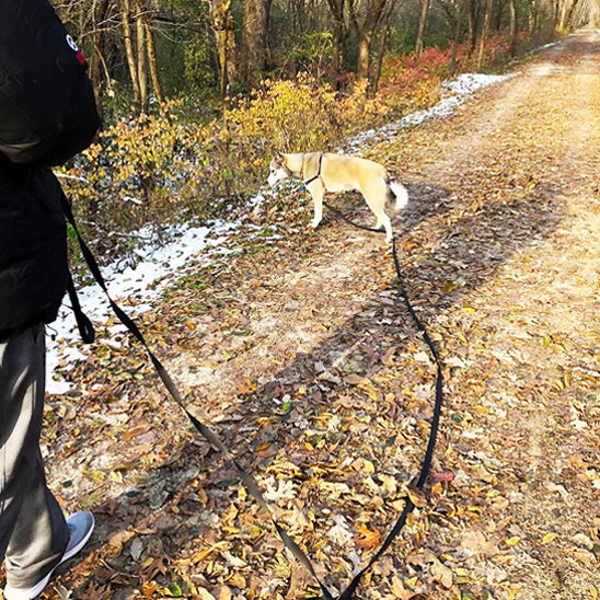Maßtre et chien en action avec une longe pour chien légÚre et polyvalente