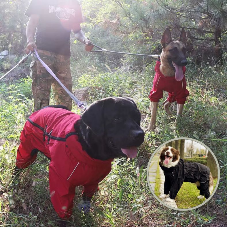 Manteau pour chien imperméable en action dans un parc humide