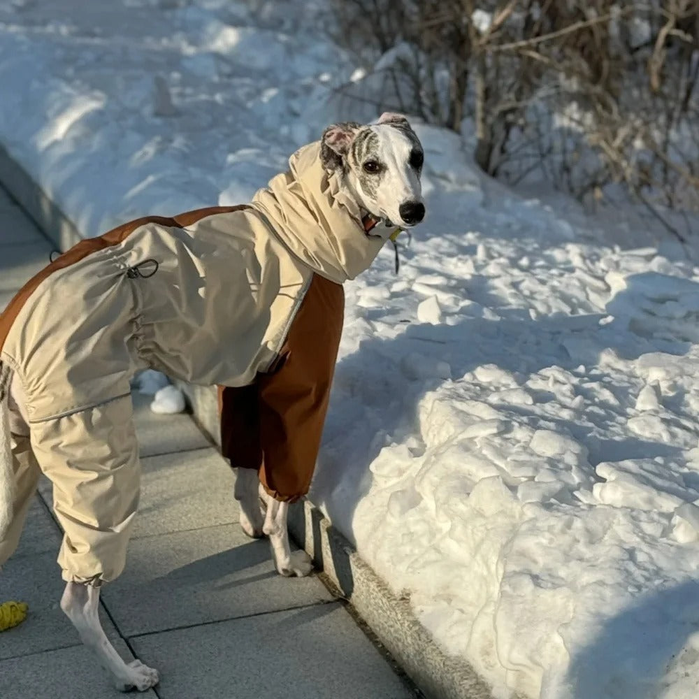 manteau pour chien impermeable gardant votre animal au sec lors des intemperies.