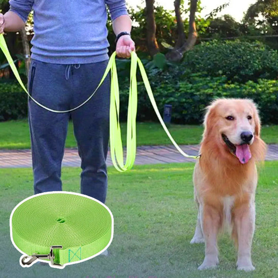 Moment de connexion humaine et canine grĂące Ă une longe pour chien